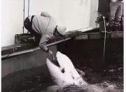 28娱乐- 足球大师赛，河套铁骑队与吴越海豚队强势反弹，体能对抗拉满！细节处理更胜一筹